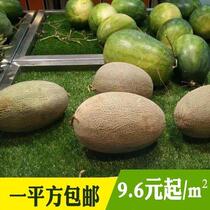 Hot sale green planting fruit green carpet plastic bedding grass carpet shop artificial grass vegetable mat background exhibition