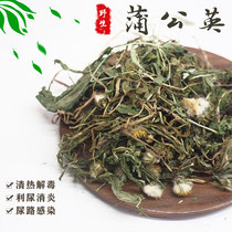 No hairy guinea cold prevents dandelion dry grass pasture grass fever and detoxifying diuretic guinea guinea pig rabbit dragon cat medicine food pasta