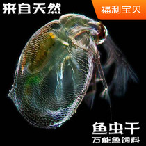 Ornamental fish worms Dried Daphnia goldfish koi tropical fish cold water fish universal natural non-pigmented floating feed