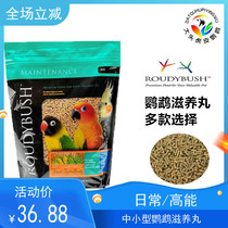  Hot selling RoudyBush Di Parrot High-energy Nourishing Pills Daily Mini Mini Particles packaged 300g cans