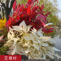 Wormwood leaves bundle plant wall decoration material furniture wedding props new 2020 creative Road introduction simulation flower