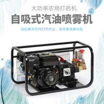 Large Den Spray Pesticide Spray Pesticide Fog Machine Automatic Nebulizer Agricultural Petrol Beating Pesticide Machine Spray Drug Machine Beating Machine