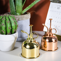 limiteria Vintage Brass Kettle Home Gardening Watering Small Spray Type Sprinkler Watering Pot