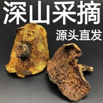 (Tmall Baozheng) Mountain Zi Wan wild pine mushroom Changbai Mountain deep mountain growth pine mushroom 250 grams of dry products