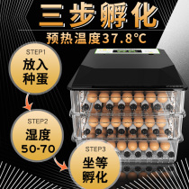 Hatching chicken incubator Hatching machine Small household type automatic intelligent egg hatcher Chicken duck goose hatching box