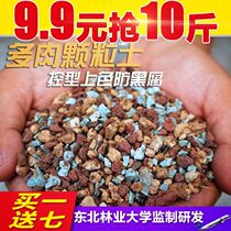 Succulent plant nutrient soil peat soil fleshy soil leaf interchange pot soil meaty special soil granular paving wheat rice Stone