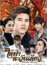 DVD version Thailand same under the sky under the fate of autumn] Thai Chinese characters all 24 episodes 2 discs