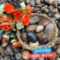 Pebbles Nanjing Yuhua Stone Original Stone Colorful Fleshy Flower Pot Fish Tank Decorative Stone Small Stone Garden