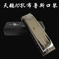 天鹅初学演奏10孔20音布鲁斯口琴 蓝调全音阶口琴