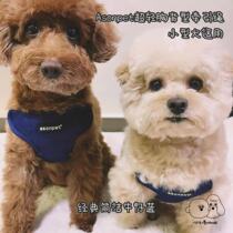 Paparazzi drinking coffee ASONPET small canine dog denim chest back traction rope teddy Bears fight cokie