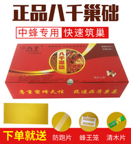 A special beekeeping tool for the standard nest frame of the eight thousand deep house nest base honey nest spleen wax sheet
