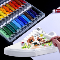 Acrylic pigment set small boxed beginner waterproof painting shoes sunscreen paint childrens non-toxic wall painting Special 12 color 24 color graffiti acrylic painting stone textile paint diy hand painted shoes