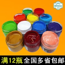 100ml Acrylic Pigment Hand Painted Wall Drawing DIY Acrylic Painting Student Art Small Propylene