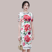 Thai Tide brand celebrity party dress high-end temperament retro print slim hip one-step dress dress women