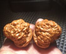 Wenplay walnut pure wild Beijing Yanqing generation Toad head pimple bag open back golden toad old tree 35 special offer