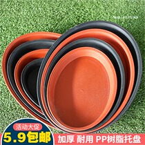 Oval flower pot tray environmentally friendly thick resin green plant mat plastic water tray bonsai type receptacle tray