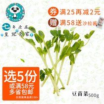(Vegetables Full 98) When season fresh vegetables Bean Fry 500g Bag Tender Sprouts
