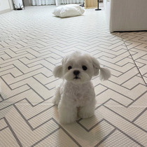 South Korea Dfang Dog Cushion Pad Puppy Joint to Protect Pets Pets Anti Slip New