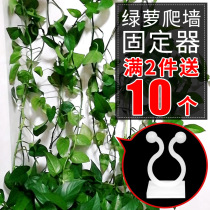 Green Luo Climbing Wall Holder Self-adhesive Vine Green Planting Wall Climbing Green Ranging Nail Frame Jail Household adhesive hook