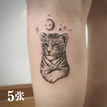 5) Star Moon Little Tiger Tattoo Waterproof Women Lasting Fresh Female Couple Tattoo Stickers Wind