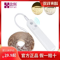 Smart DC battery box induction LED soft light with 5V2835 stair Corridor light baby bed bottom light wardrobe light