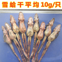 Snow clam dry whole Changbai Mountain specialty forest frog dry snow clam oil foot dry toad dry New goods