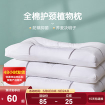 Boyo All-cotton Pillow Pillow Inner Cassiae cassiae Buckwheat Care Cervical pillow Adult Home Student Pillow Anti Mite to dress