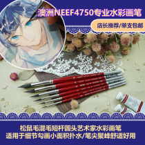 (Dustpile) manager recommended NEEF 4750 squirrel hair mixed hair artist round head watercolor pen