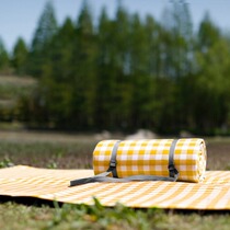 Picnic Mat Spring Swim Moistureproof Mat Outdoor Portable Picnic Mat Picnic Mat Field Lawn Picnic Cloth Thickened Waterproofing