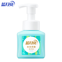Blue Moon Fresh Fruit Mint Foam Bacteriostatic Hand Lotion 250ml
