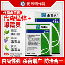  Syngenta antivirus alum Grape tomato cucumber potato taro downy mildew late and early blight Pesticide fungicide