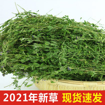 Alfalfa hay Young rabbit food Fresh hay Rabbit Chinchilla Dutch pig food feed food 1kg