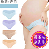 Pregnant Womens Underwear Pure Cotton Suit Comfort Gestational Mid Low Waist Pants Head Girl U Type Toabdominal Soft And No Marks Triangle Pants