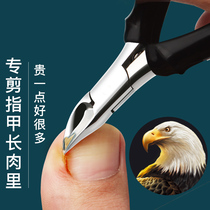 German Seiko special scissors oblique nail clippers household pointed eagle beak pliers pedicure artifact set