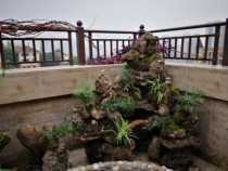 Chongqing rockery double eleven every day Fish pond rockery design and construction Small bridge water family indoor and outdoor garden