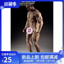 PHICEN TBLeague PL2018-M35 Headless steel bone strong muscle type male body spot
