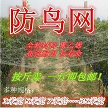 Fish pond anti-bird net Jiabao cherry grape fruit tree greenhouse anti-bird net Nylon net Fishing line outdoor skynet