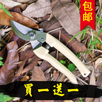 Buy one for a cut of branches Branches Cut Twigs Scissors Gardening Scissors Rough Branches Garden Scissors Gardening Scissors Gardening Little Scissors Fruit Tree Cut