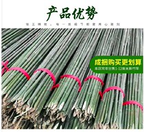 豆角架黄瓜架子种菜农场西红柿架子固定彩旗竿菜地茄子竹竿葡萄架