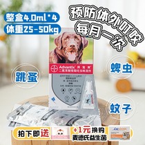 (Shunfeng) Spoiled dog drops to remove fleas Bayer in vitro deworming 25kg or more