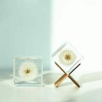 High-grade Japanese Zeus Solacube Immortalized flower Dandelion Rose plant specimen cube pendulum resin piece lucky