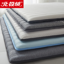 Arctic velvet mattress latex upholstered household sponge pad renting special thick single dormitory thin mattress cushion