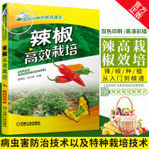 Genuine books Pepper efficient cultivation Pepper cultivation From entry to mastery of pepper efficient cultivation New model of pepper efficient cultivation Pepper efficient cultivation technology books Modern agricultural planting technology seeds