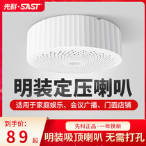 Shchenko Clothing Ceiling Ceiling Ceiling Suction Top Horn Sound Indoor Wall-mounted Background Music Hoisting Suspended Hanger