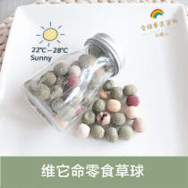 Vibe it lives fruit and vegetable grass ball function snacks rabbit dragon cat guinea pig moon tingle S23