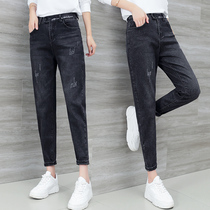 Jeans womens cropped pants Spring and Autumn 2022 new elasticated high-rise small leg pants look thin Harlan Daddy pants