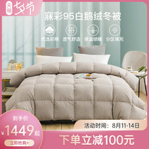 Hongrun new product Mei Cai duvet 95 white goose down winter quilt hotel double thickened quilt quilt core white goose down quilt