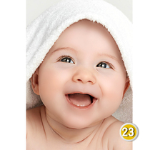 Wedding room baby wall painting prenatal education poster pregnancy baby pictorial cute adorable baby twins dragon and phoenix doll wall sticker