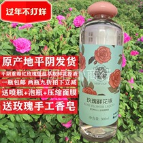 Pingyin Tianyuan Rose Essential Oil Flower Liquid Rose Cell Liquid 500ml Affordable Rose Bud Water