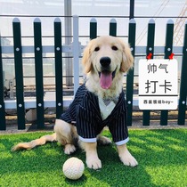 Dog suit Suit Summer Samoyed Labrador Big dog side Mujin sweater suit Thin large dog dress